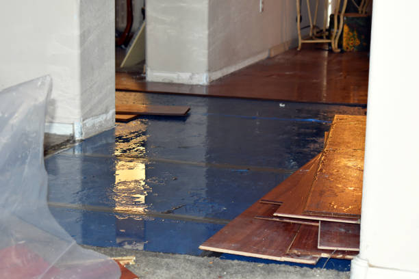 Professional Water Damage Restoration technician working in Wheatland, ND